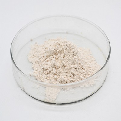 flocculant powder polyelectrolyte anionic polyacrylamide apam | manufacturer of polyacrylamide for water treatment industrial