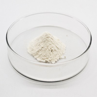 effect of cationic polyacrylamide on the seeded agglomeration process of sodium aluminate liquors